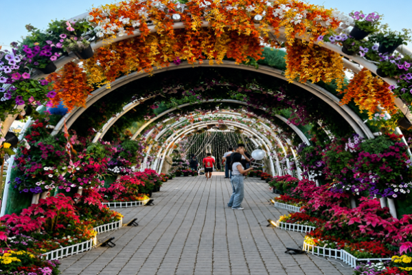 รูปภาพ4